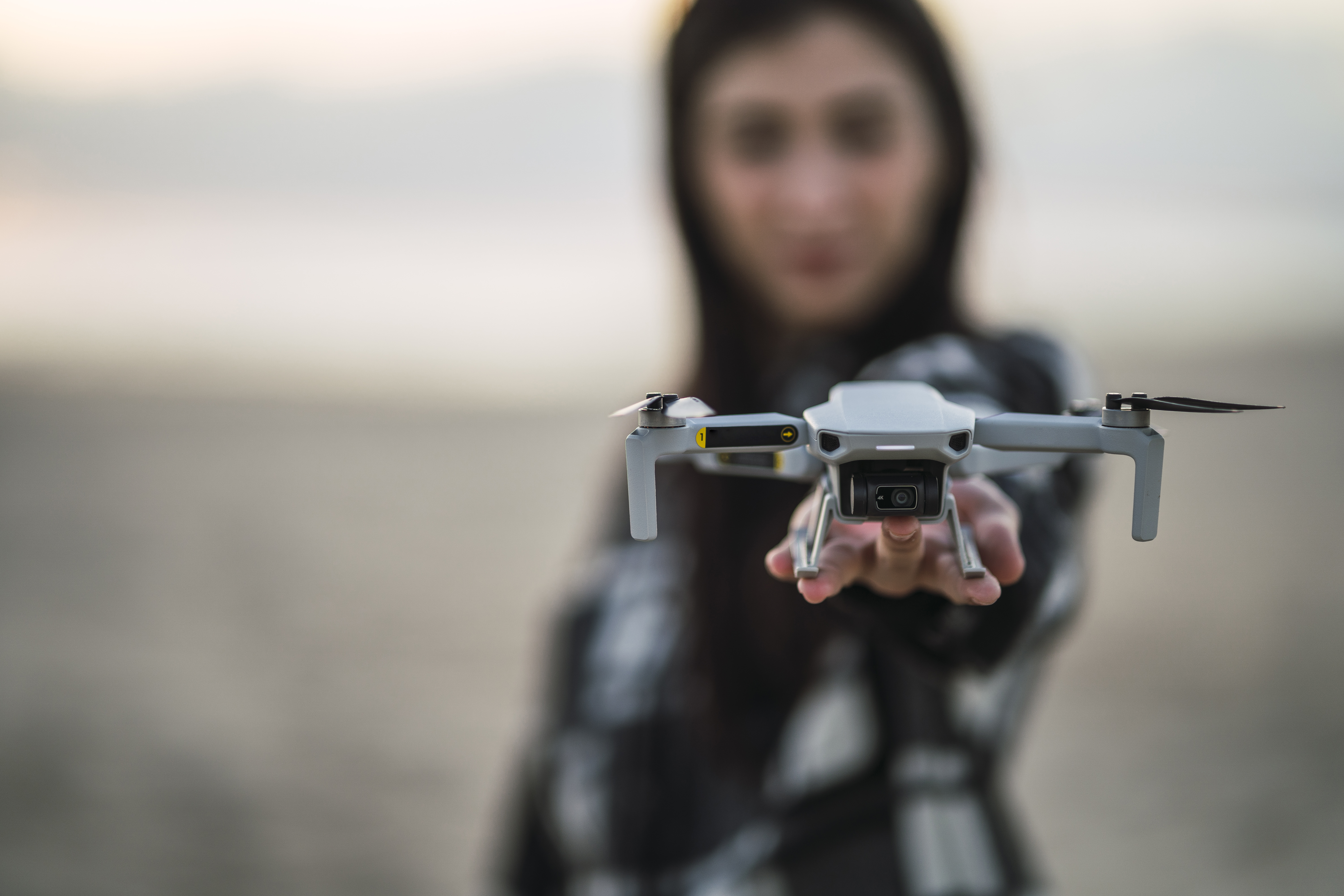 Professional Drone Services